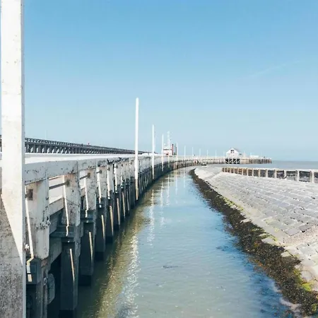 In By The Marina 블랑켄베르크